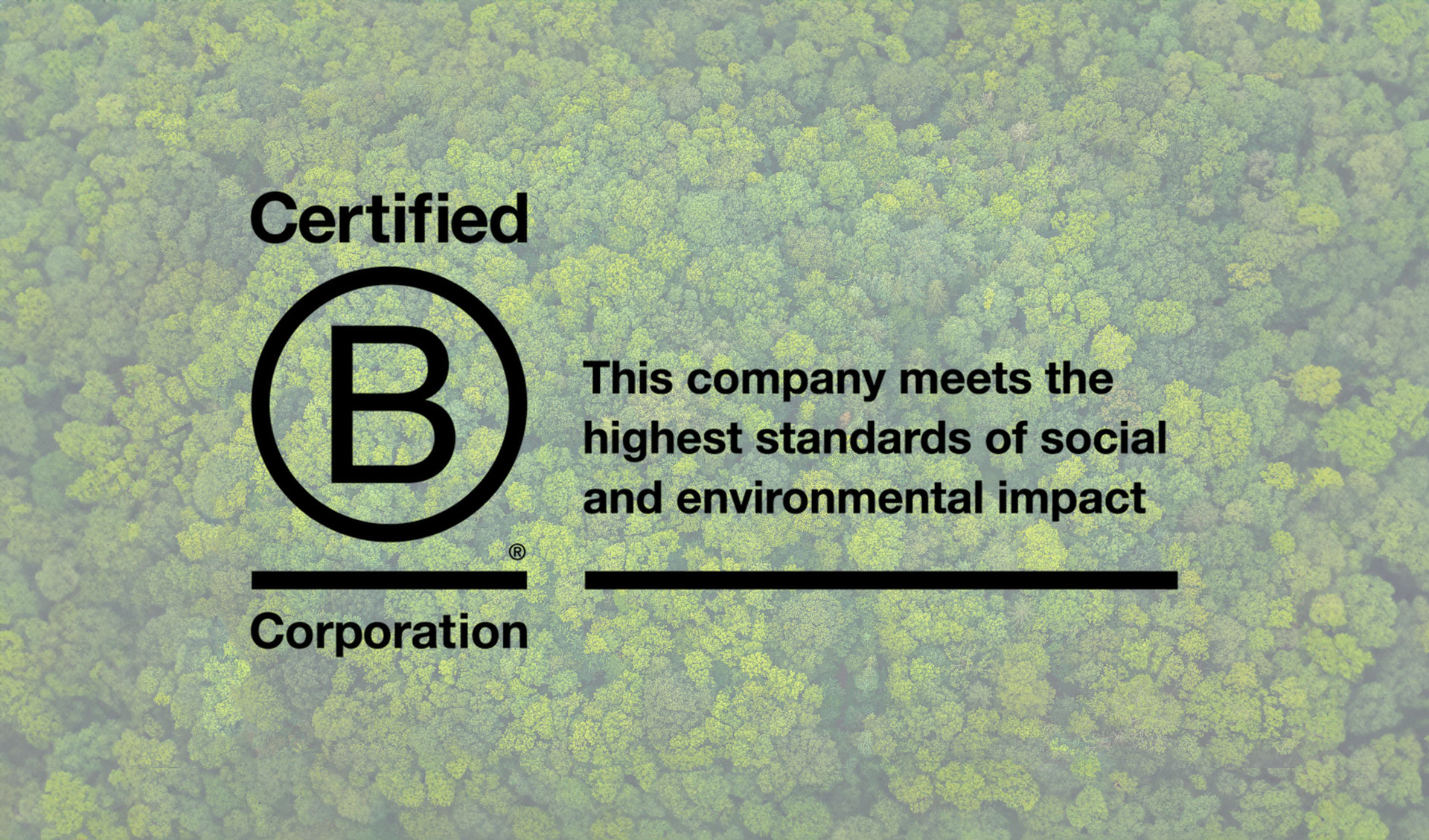 Wood for Good and why achieving B Corp status means so much featured image